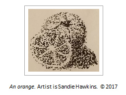 An orange, by Sandie Hawkins, an example of stippling