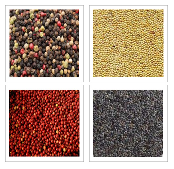 Seeds of peppercorns, millet, coffee beans, poppy seeds